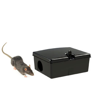 Boîte à appâts pour rat